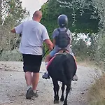 Tenuta Selvaggia * Реджелло