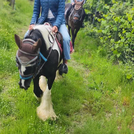 Tenuta Selvaggia Фермерский дом Реджелло