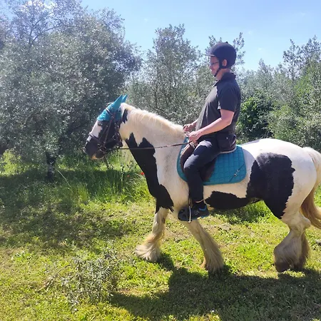 Tenuta Selvaggia *